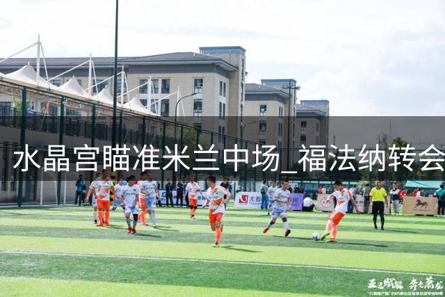 水晶宫瞄准米兰中场 福法纳转会悬念待解